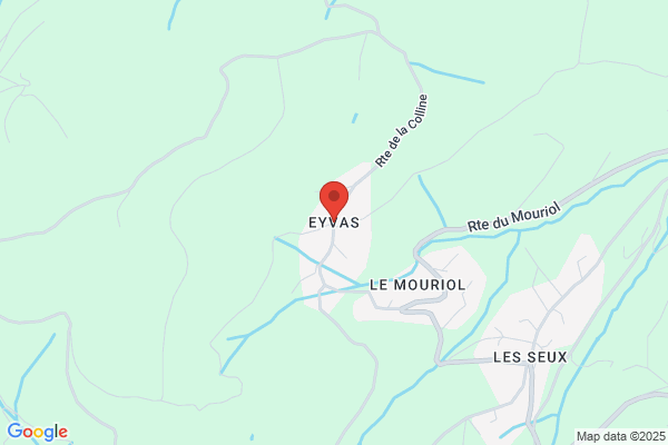 Etournaud Martine