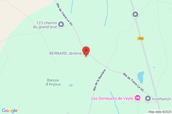 Bernard Jerome