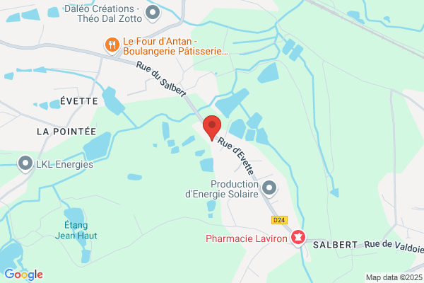 Demenagement Du Lion Sarl