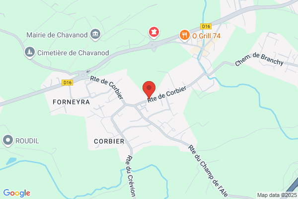 Bouvier Bernard Telesejour