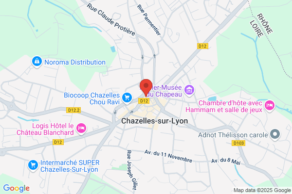 Ergalis Selpro Chazelles sur Lyon