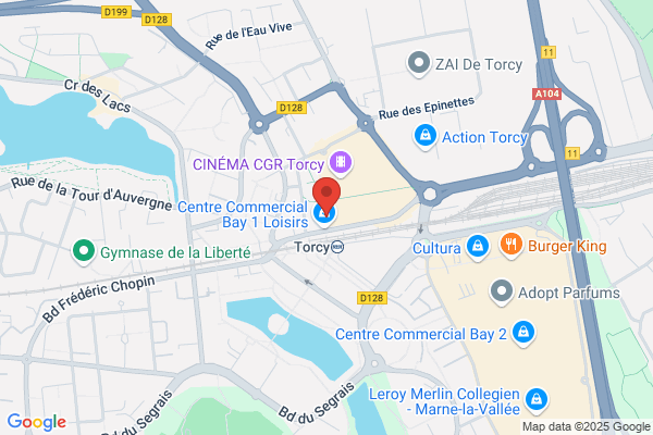 Hippopotamus Torcy