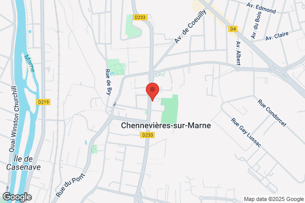 Conseils Synergie Expertise