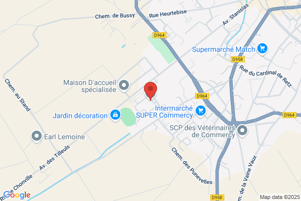 College Des Tilleuls