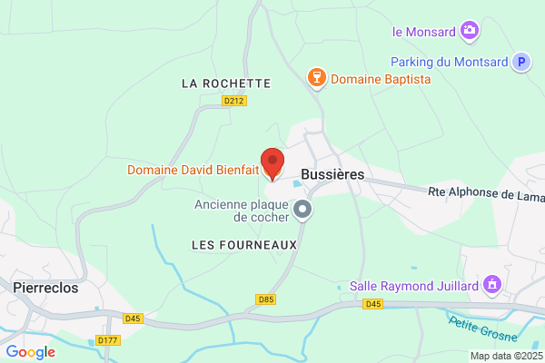 Bussiere Jacques Et David Guy Scm