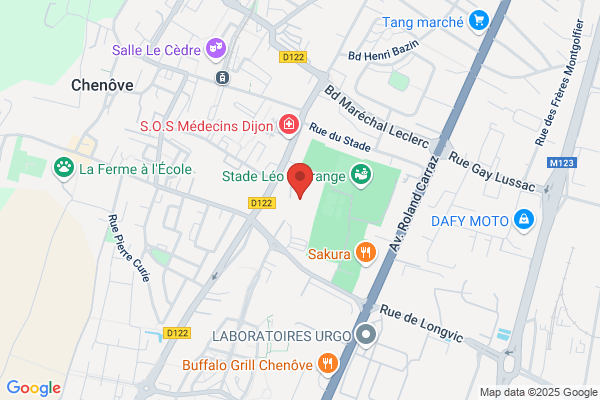 College Insertion Professionnelle