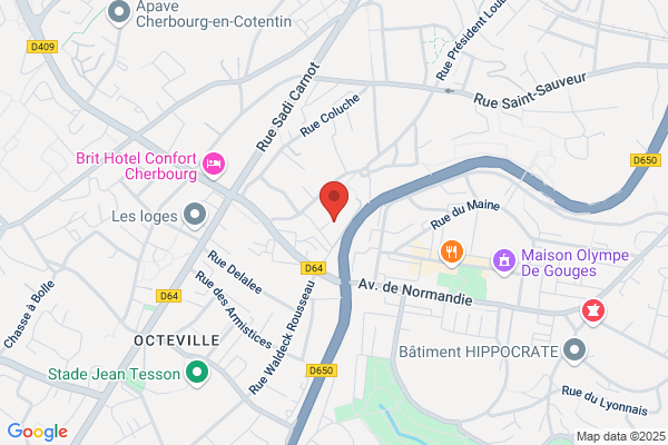 College Le Ferronay Cycle D Insertion Professionnelle Par al