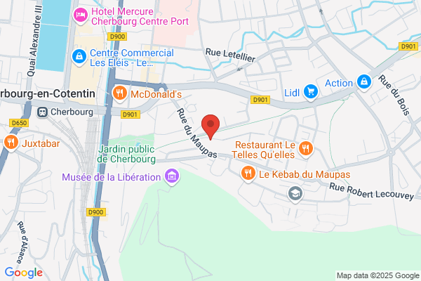 D Hooghe Regis Medecin