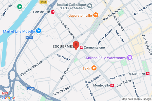 Comite Des Italiens A L Etranger