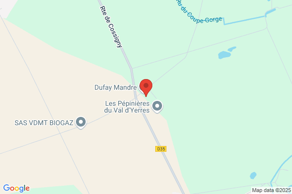 Dufay Mandre Standard