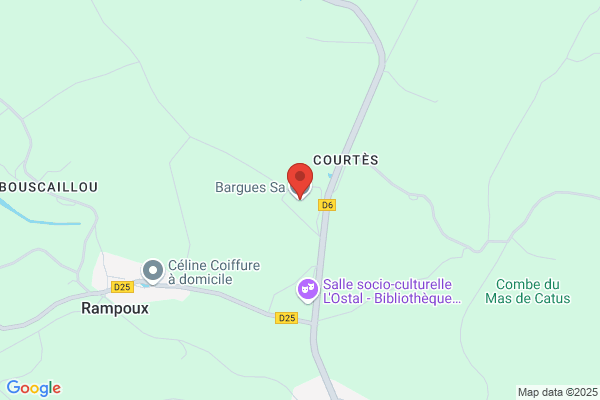 Bargues Henri