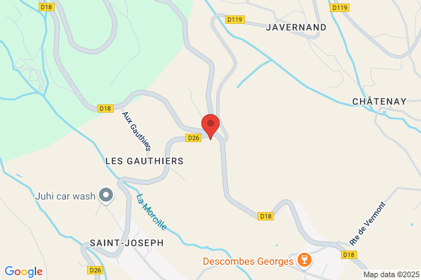 Gonin Bernard