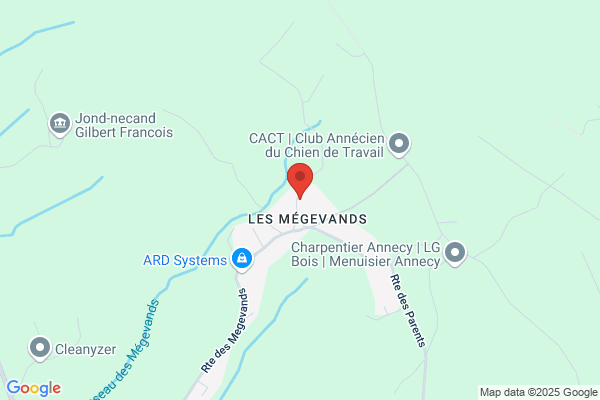 les chiens de l'essenciel