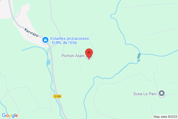 Alain Pichon Services