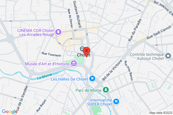 Choletbus Service Transport Personnes A Mobilite Reduite