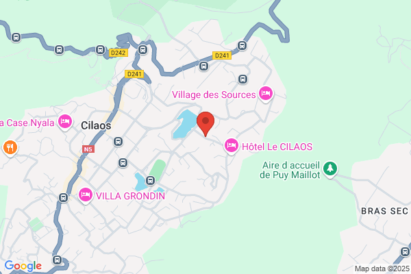 L' ESCALE DES PINS