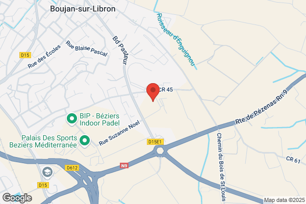 Bordes Louis Rene Professeur Orl