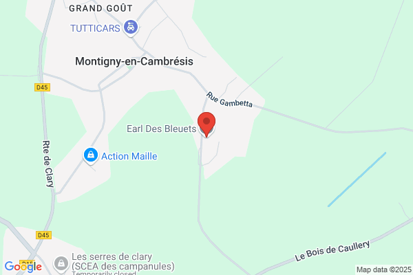 Earl Des Bleuets