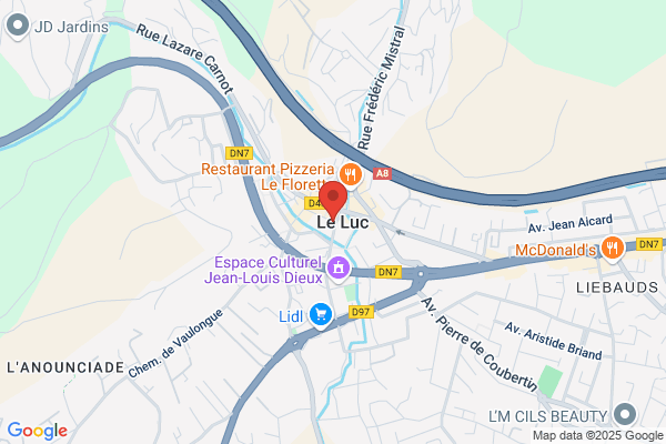 Canale Luc Taxi