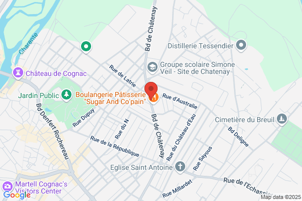 PICHONNEAU SAS