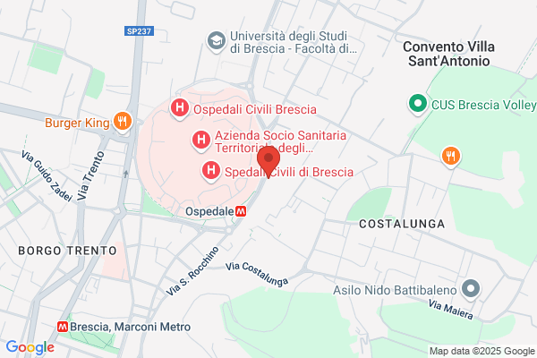 Brescia Paul