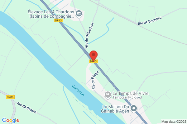 Js Festival Location