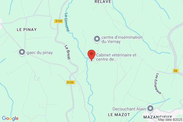 Clinique Veterinaire Du Vernay Docteur Marti Daimay