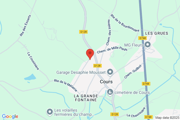 Dm Conseil Entreprise Et Perennite