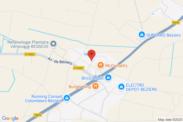 Anses Au Panier