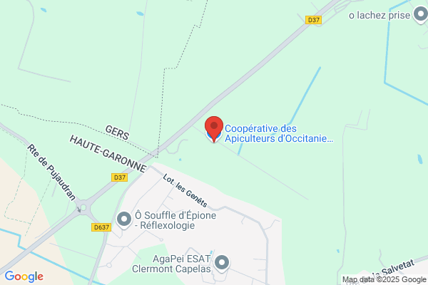 Apiculteurs Midi Pyrenees