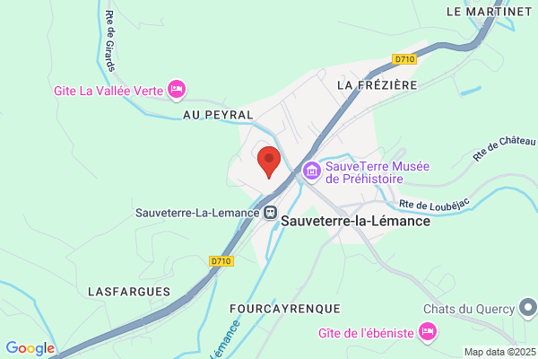Delaumone Ghislaine Medecin