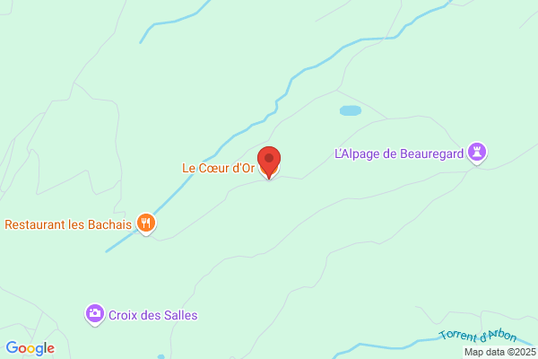 Au Coeur De Combloux