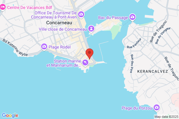 Agence Sterne Voyages Sarl