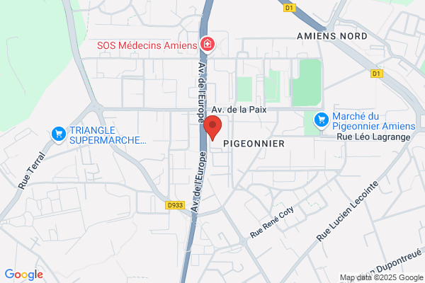 Benoist Laden Leturque Pruvost Roussel Medecins