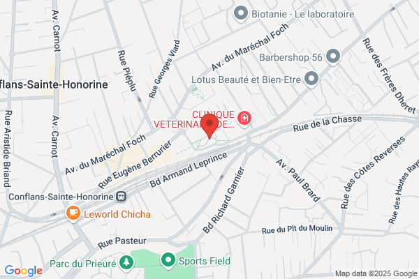 Centre D Information Et De Coordination Sociale