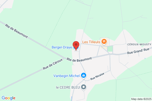 Berger
