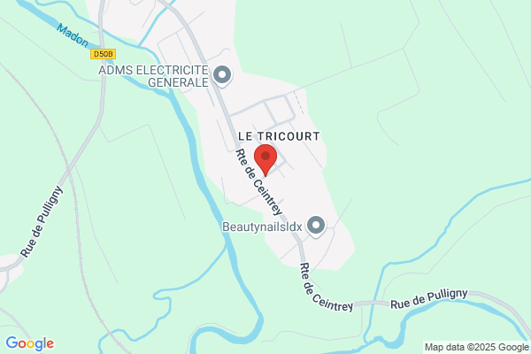 Agence Nationale Traitement Des Bois