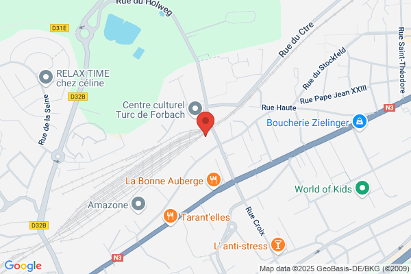 Comite Etablissement Societe Nationale Des Chemins De fer bib