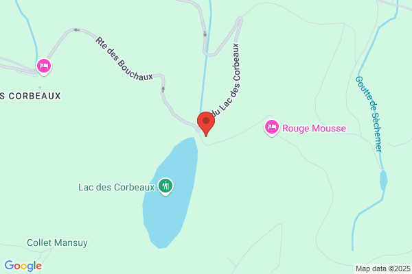 Chalet Du Lac Des Corbeaux