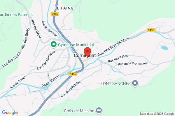 Direction Vosgienne Des Interventions Sociales Dvis Perm