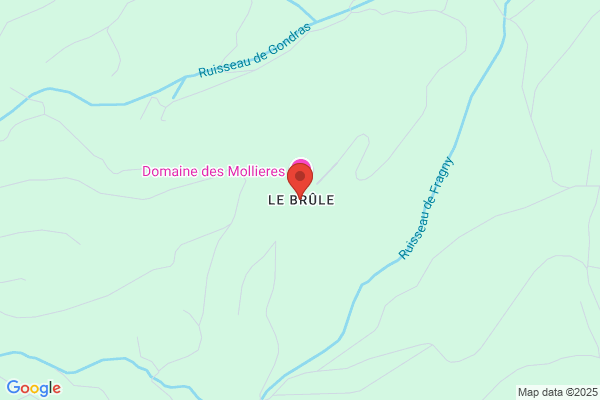 Brule Rene