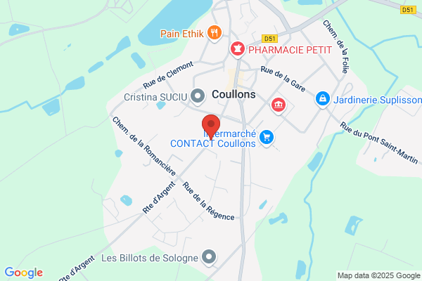Commune De Coullons