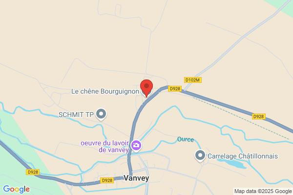 LE CHENE BOURGUIGNON