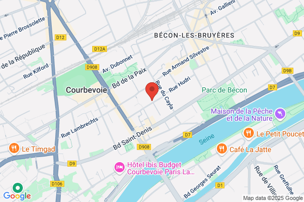 Costelec