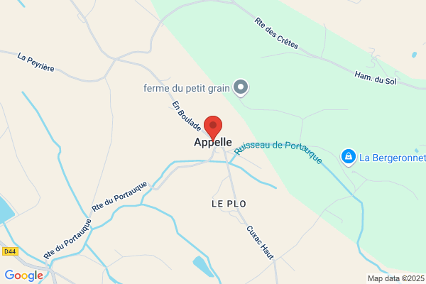 Apel