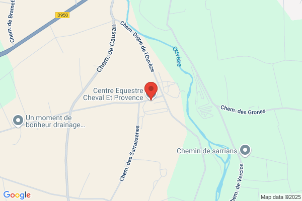 Centre Equestre Poney Club Cheval Et Provence
