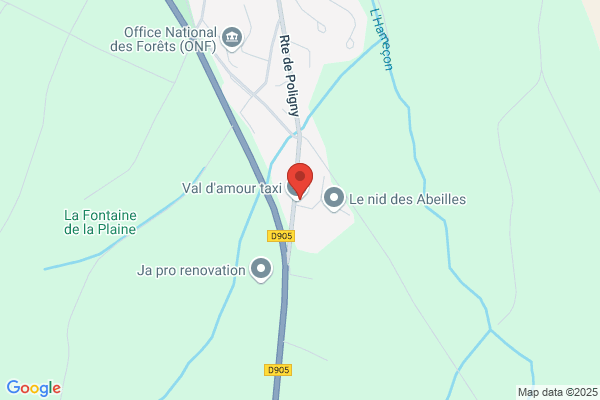 FLORINE TAXI