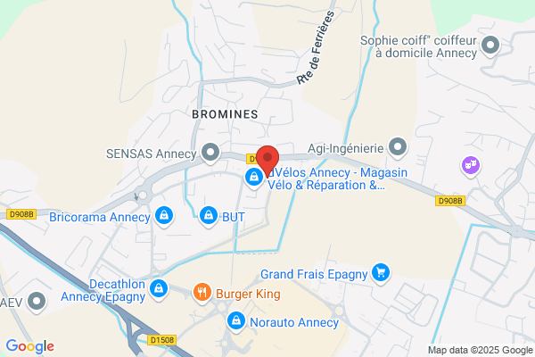 Annecy Demenagements Gandossi Et Fils