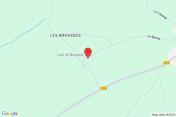 Earl De La Bruyere