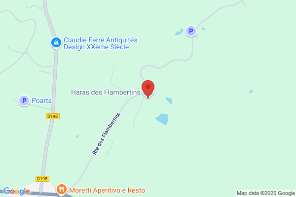 haras des flambertins